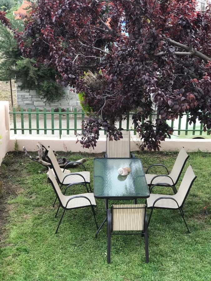 Dimitra'S And Nasia'S Villa Psakoudia Exteriér fotografie